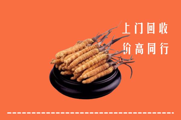 高价求购：陇南回收散虫草