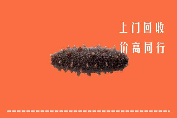 高价求购：陇南回收海参