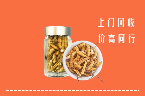 陇南回收冬虫夏草
